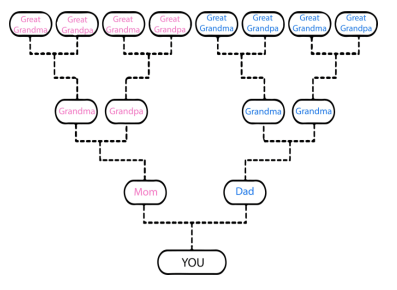 Family Tree In Home Care Houston / Virtual Tour Houston S Most